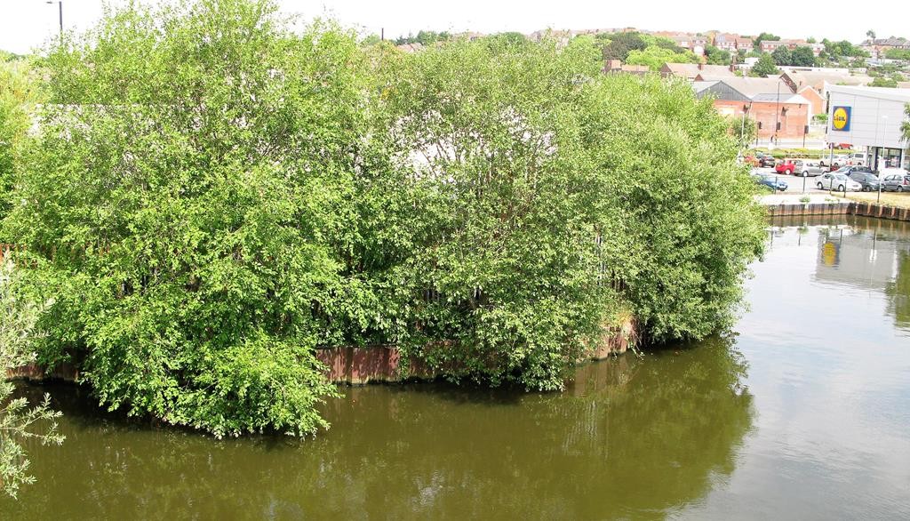 Sold Price £2,000, To the East of Swinton Road , Swinton, Mexborough